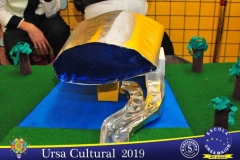 8585