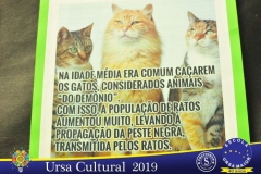 8631
