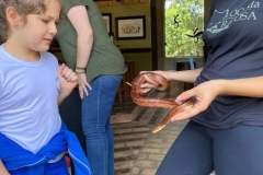 15058