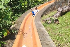 15095