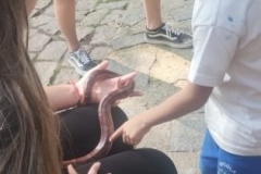 15236