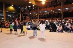 ursa cultural - 2